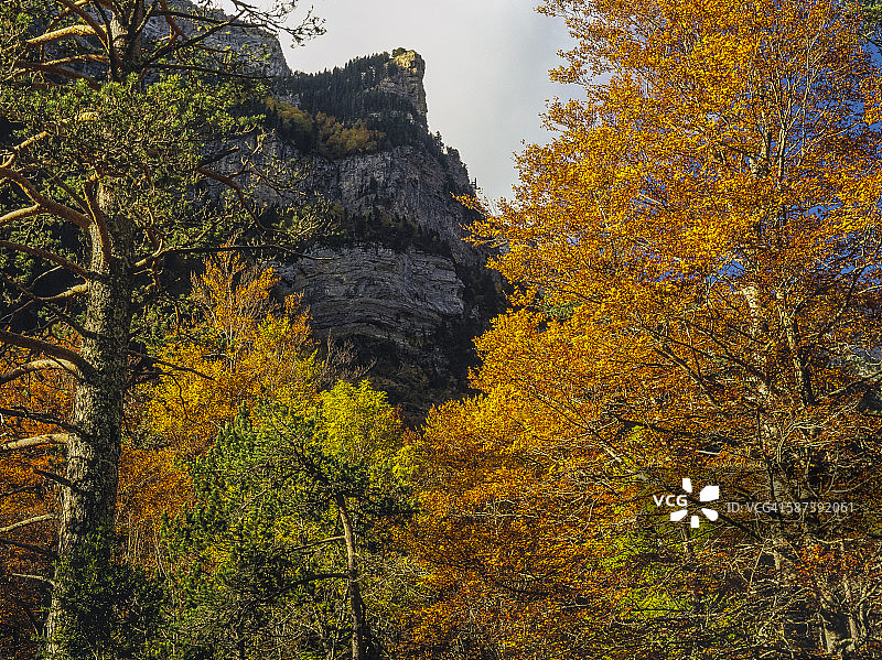 奥尔德萨国家公园和佩尔迪多山的秋色图片素材