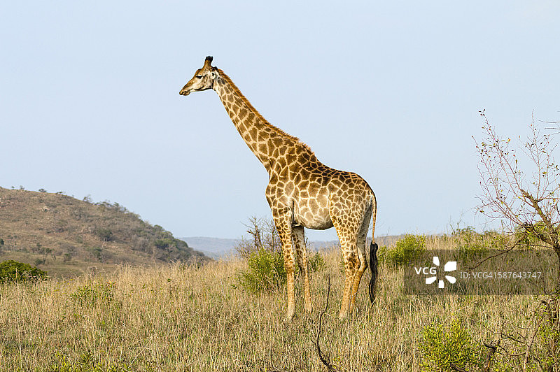 赫卢赫卢韦-印姆弗洛兹国家公园图片素材