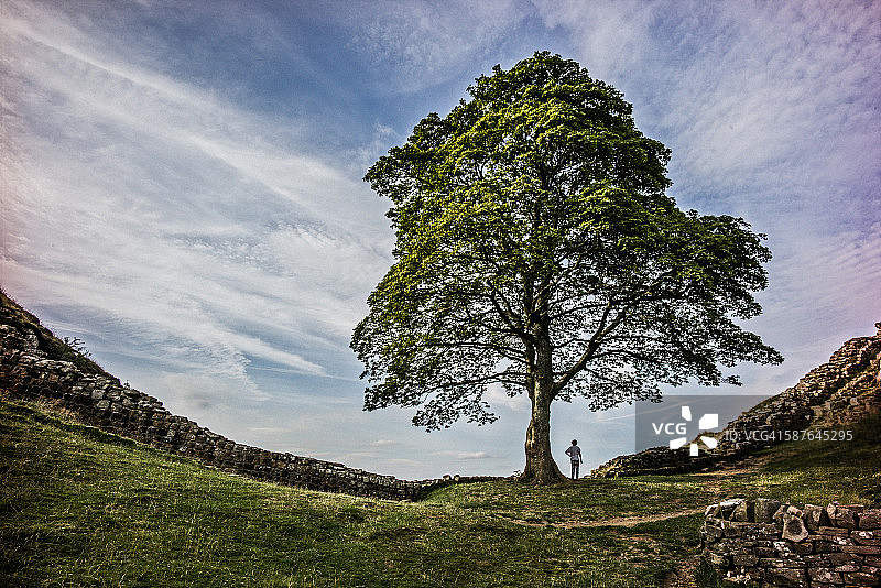 在哈德良长城梧桐峡谷的男孩图片素材