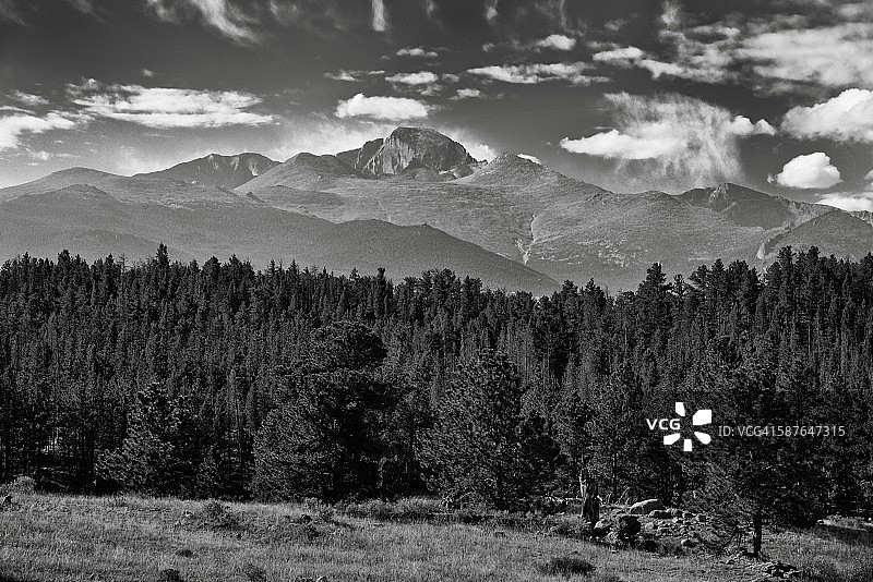 眺望常青树后的朗斯峰图片素材