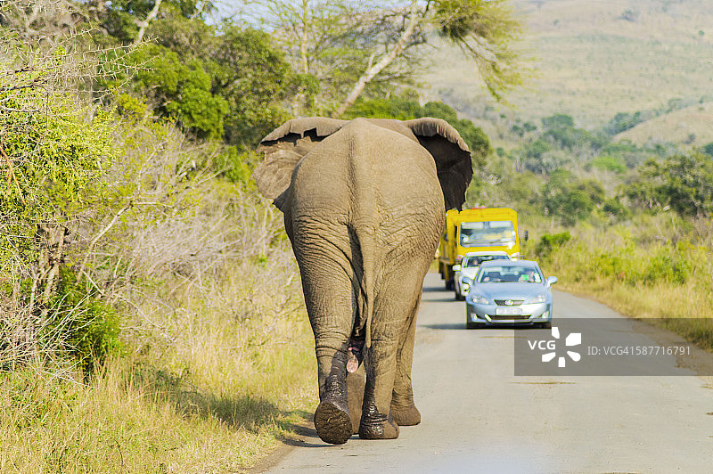 赫卢赫卢韦-印姆弗洛兹国家公园图片素材