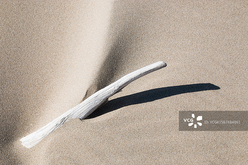 海滩沙滩上形成涟漪的浮木图片素材