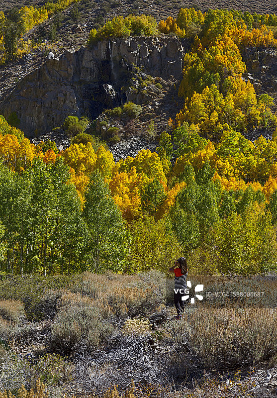 秋色中的薄雾图片素材