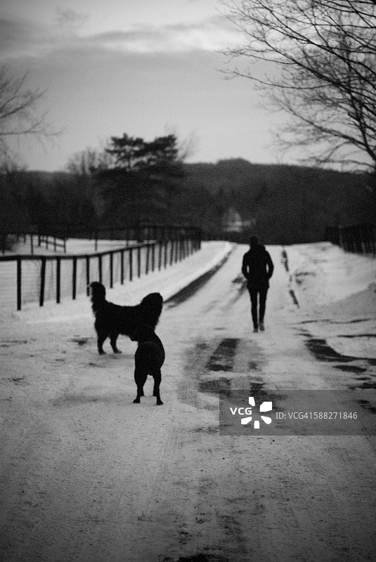 雪地小路上的狗狗和女人图片素材