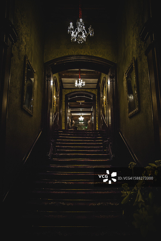 爱尔兰康 Ashford 古堡中的黑暗华丽楼梯井图片素材