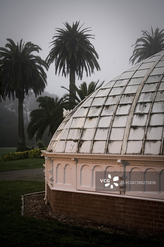 旧金山金门公园斯特赖宾植物园和棕榈树图片素材