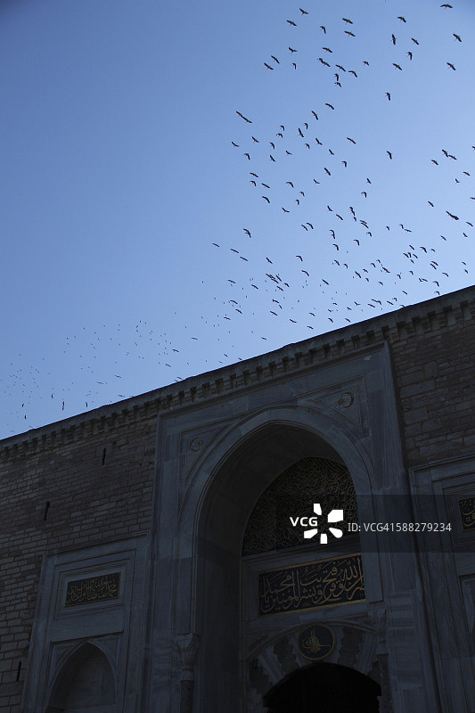 土耳其伊斯坦布尔托普卡帕宫拱形入口上方的鸟群图片素材