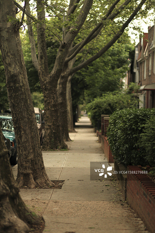 美国纽约皇后区阳光yside的城市人行道和树木图片素材