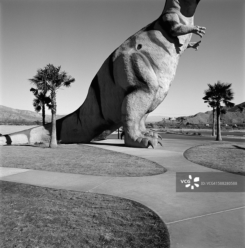 霸王龙图片素材