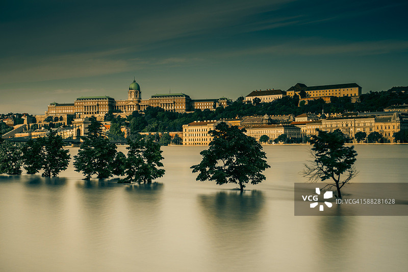 洪水泛滥的多瑙河与一排树木，匈牙利布达佩斯图片素材