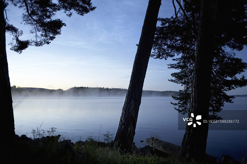 瑞典海辛兰，湖上薄雾图片素材