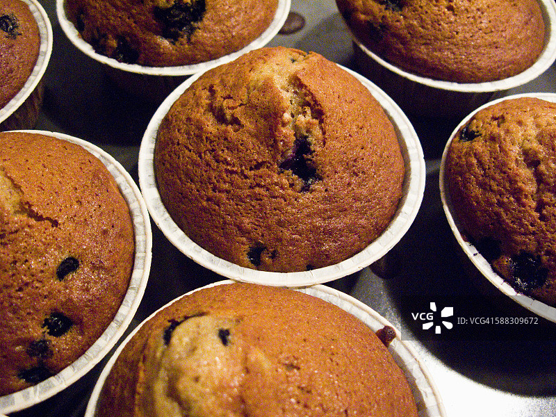 蓝莓松饼特写图片素材