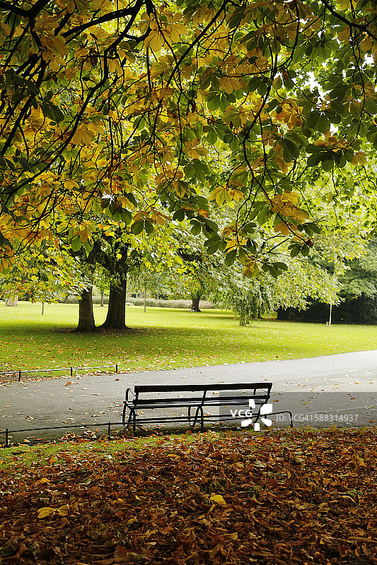 秋天的圣斯蒂芬绿地图片素材