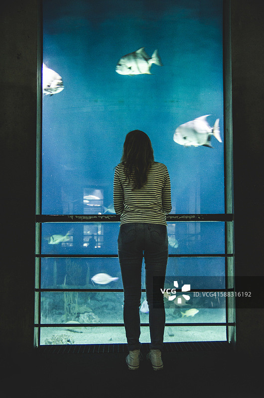 在美国巴尔的摩国家水族馆观赏鱼的年轻女子图片素材