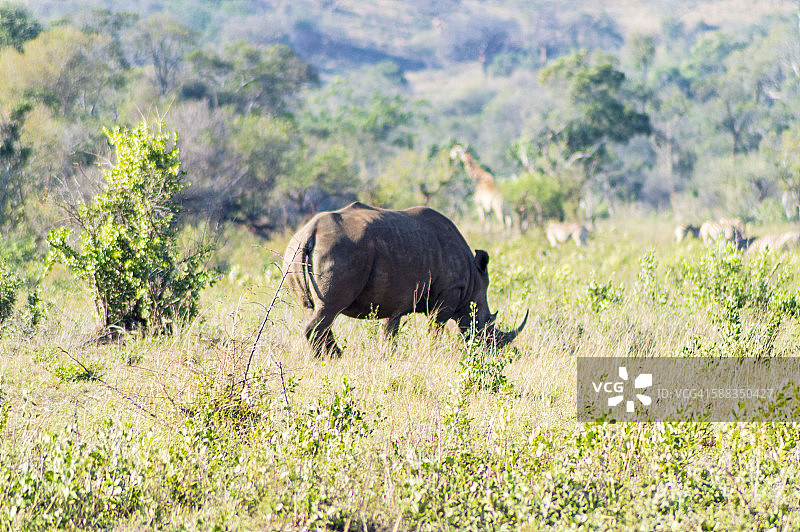 赫卢赫卢韦-印姆弗洛兹国家公园图片素材