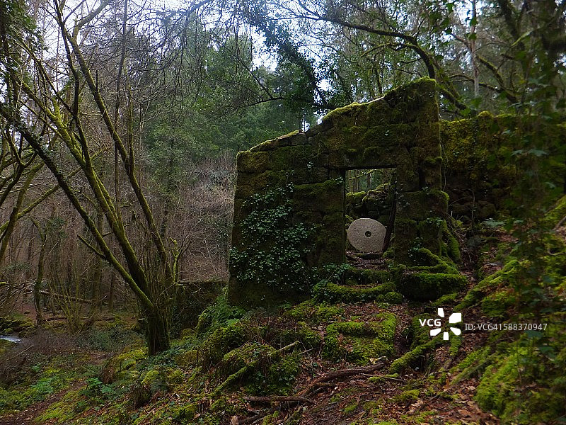 魔法磨坊图片素材