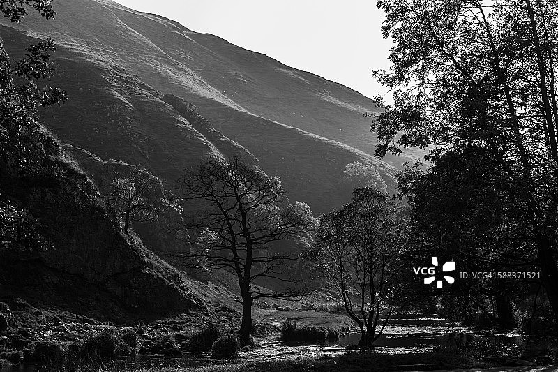 黑白多夫代尔图片素材