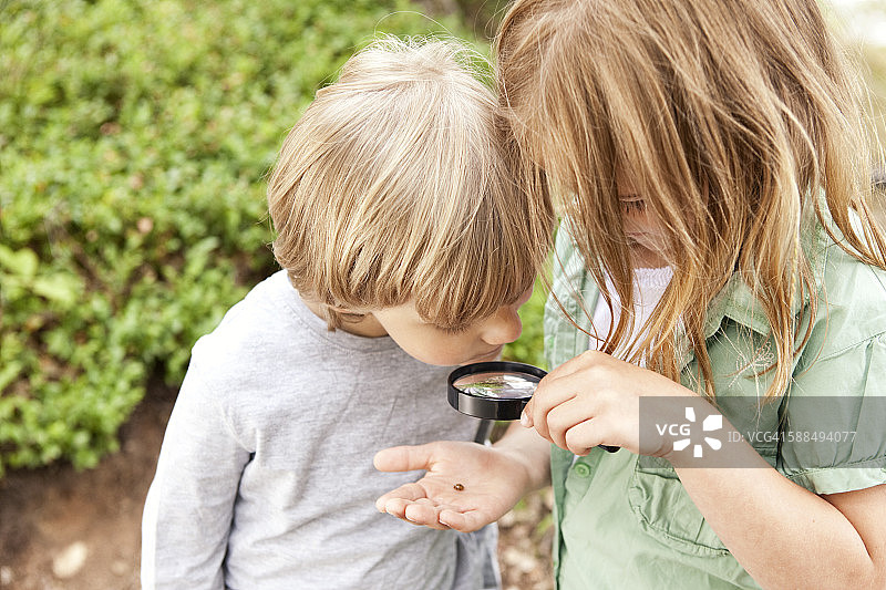 男孩和女孩用放大镜观察甲壳虫图片素材