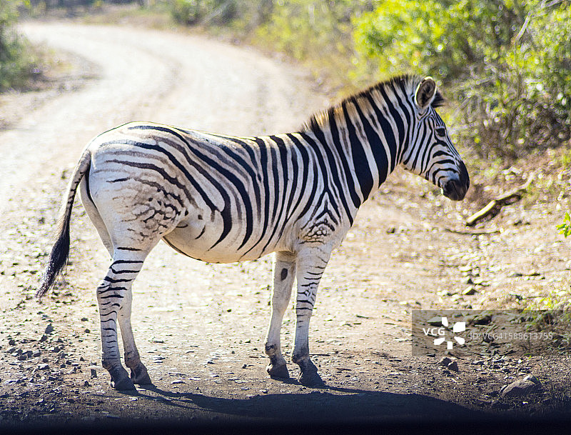 赫卢赫卢韦-印姆弗洛兹国家公园图片素材