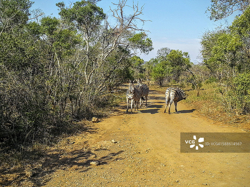 赫卢赫卢韦-印姆弗洛兹国家公园图片素材