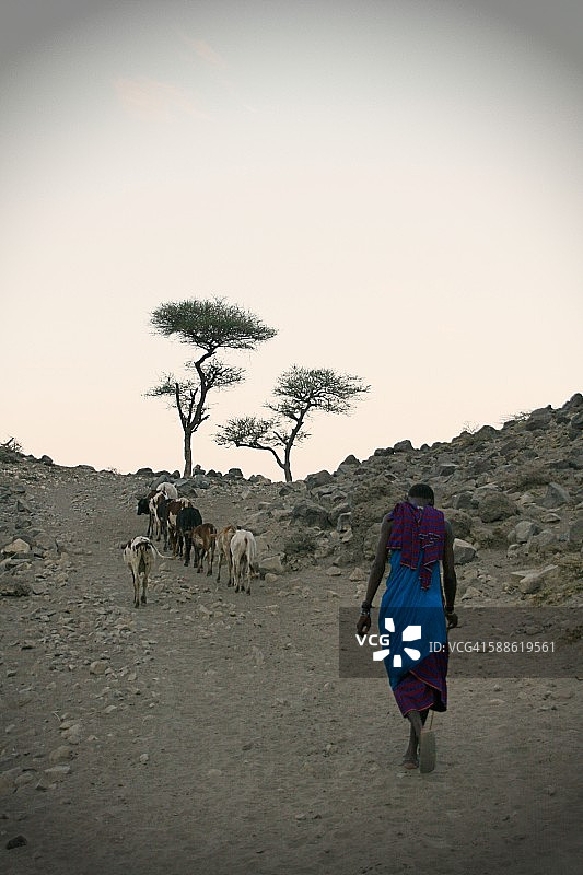 马赛人图片素材