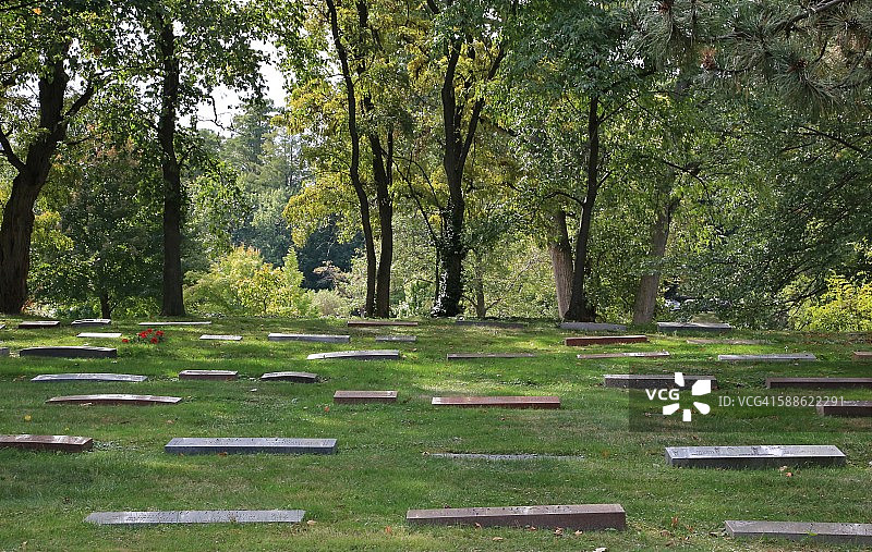 林地墓地的墓碑图片素材