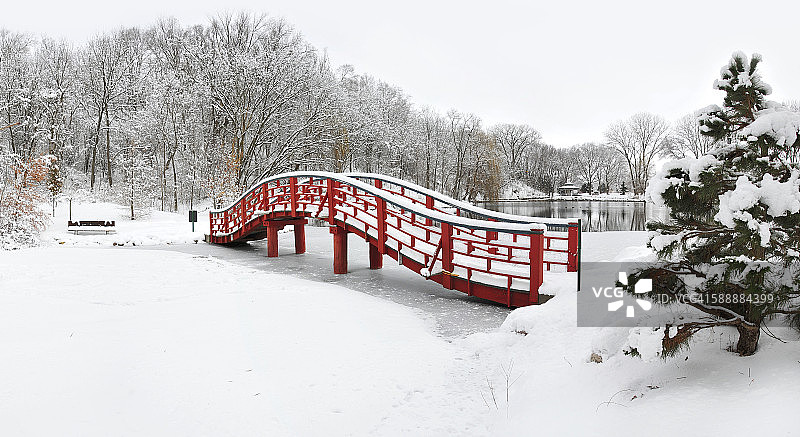 雪 покрытый的红桥和森林图片素材