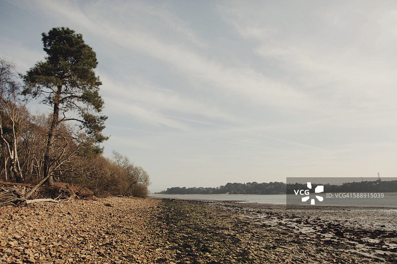 布朗sea岛海滩图片素材