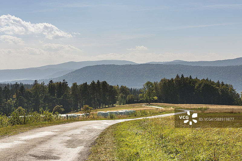 波兰夏季风景图片素材