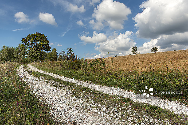 波兰夏季风景图片素材