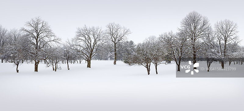 白雪皑皑的冬季景色图片素材
