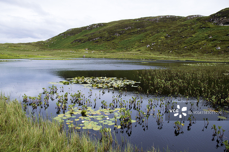 苏格兰刘易斯岛托尔斯塔的宁静风景和白色睡莲图片素材