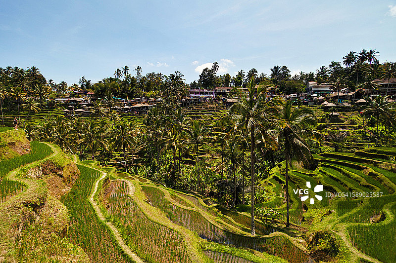 德格拉朗梯田图片素材
