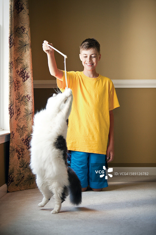 男孩用猫玩具和猫玩耍图片素材