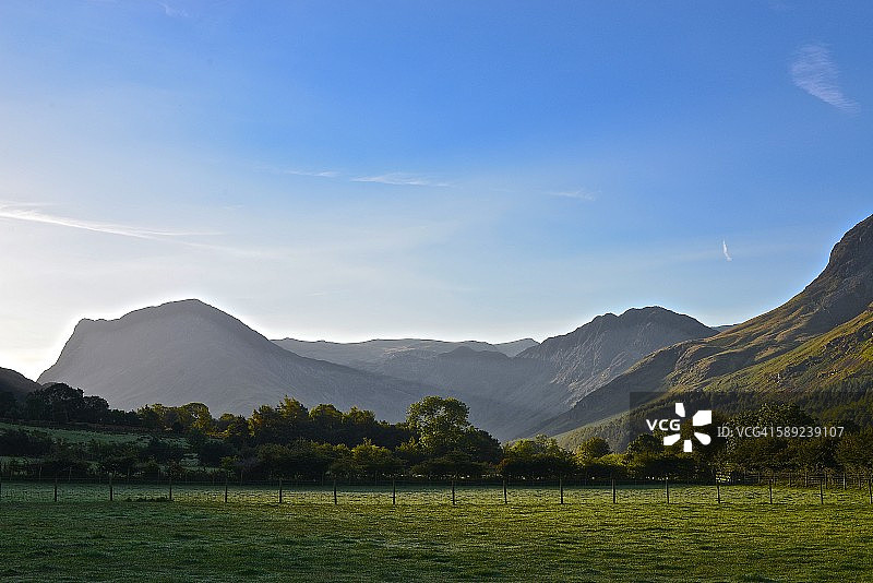 巴特米尔松树图片素材