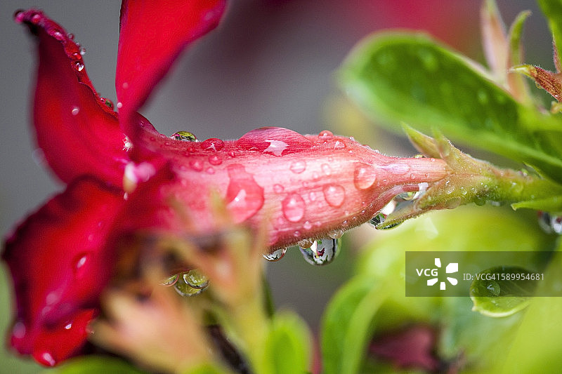 想象春天图片素材