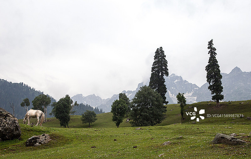 索纳马格图片素材