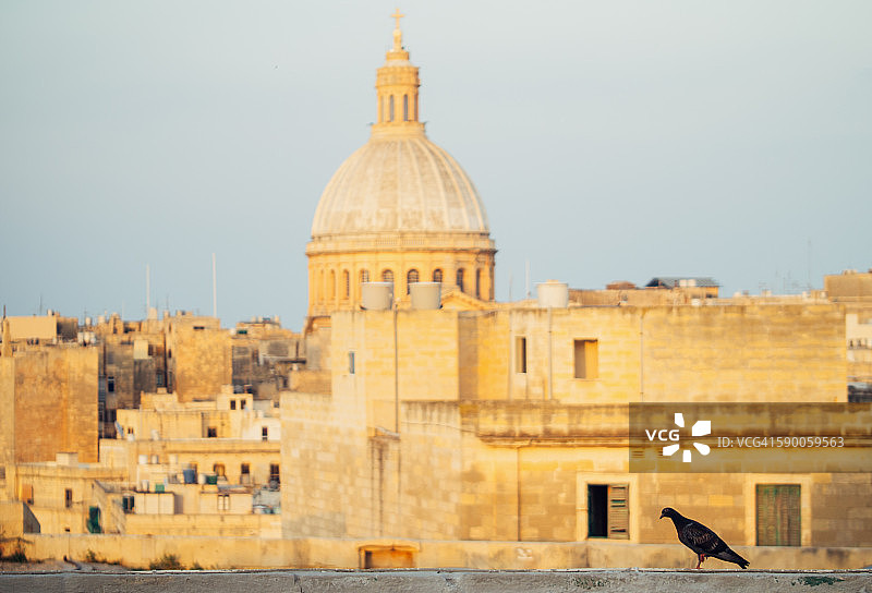 鸽子与瓦莱塔城市景观（马耳他）图片素材