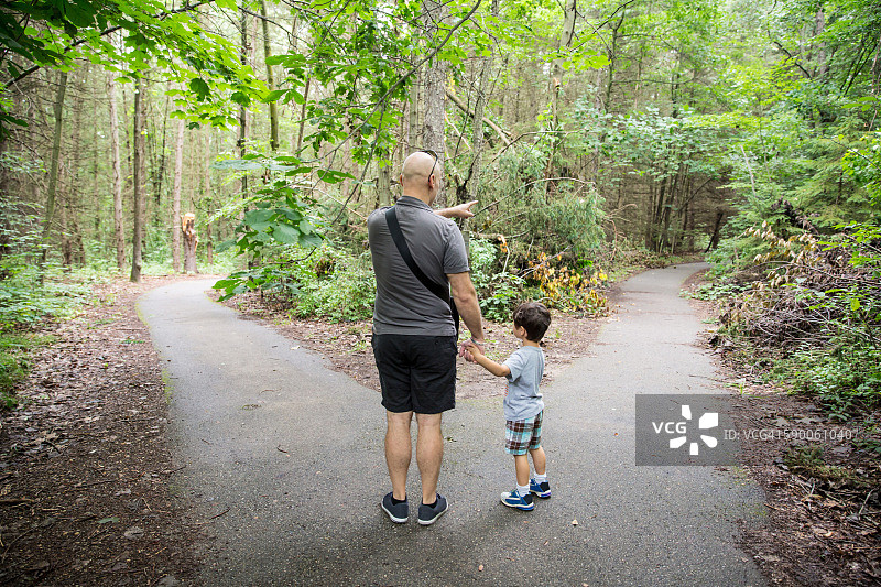 岔路口的叉子图片素材