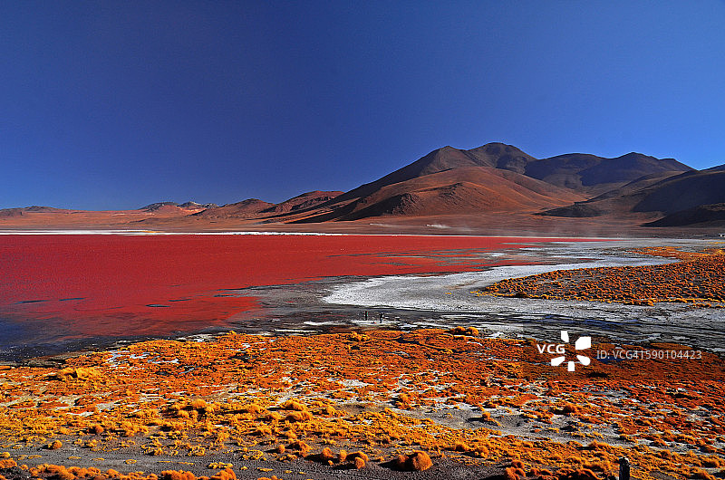 拉古纳Colorada图片素材