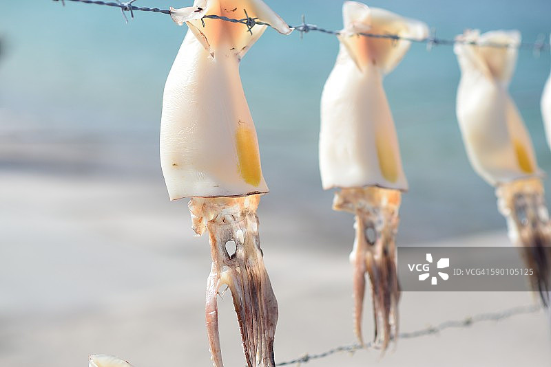 晒鱿鱼图片素材