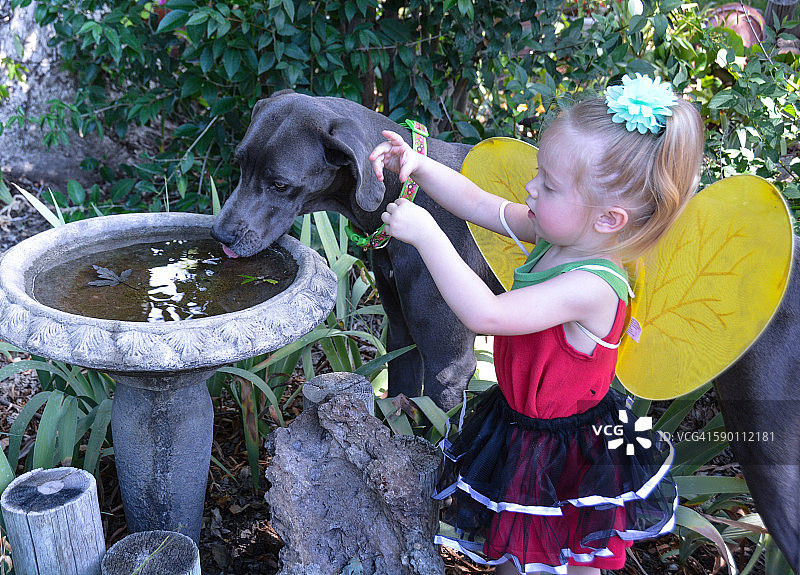 两岁女孩与小狗在鸟池旁图片素材