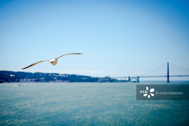 旧金山湾图片素材