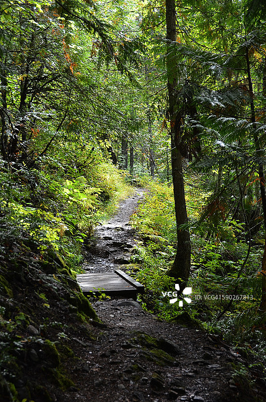 勒韦尔斯托克山森林桥图片素材