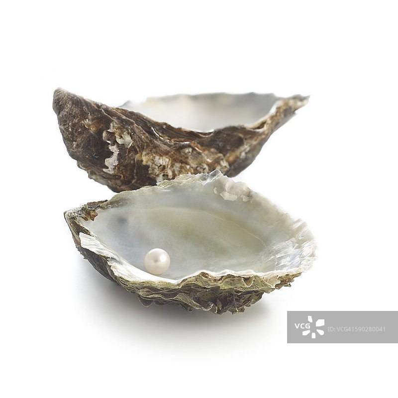 太平洋牡蛎壳和珍珠图片素材