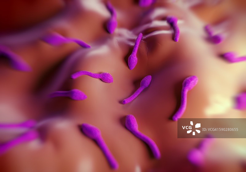 破伤风梭菌图片素材