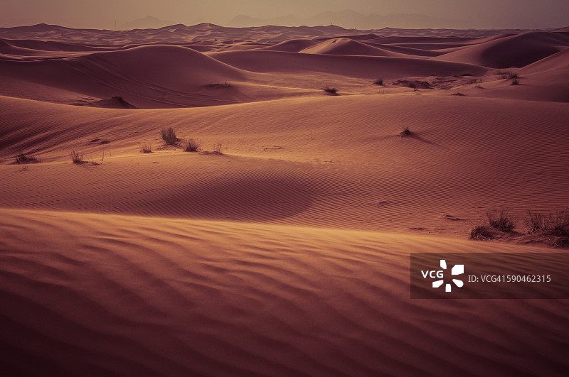 阿联酋哈塔沙漠的沙漠沙丘景观图片素材