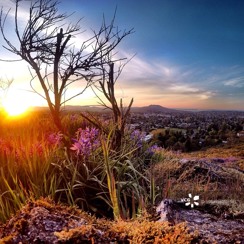 加拿大的风景图片素材