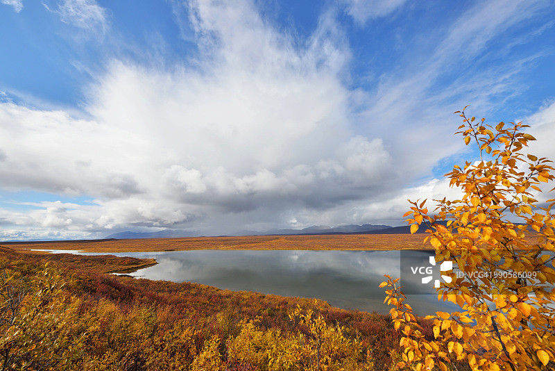阿拉斯加德纳里公路美丽的秋色图片素材