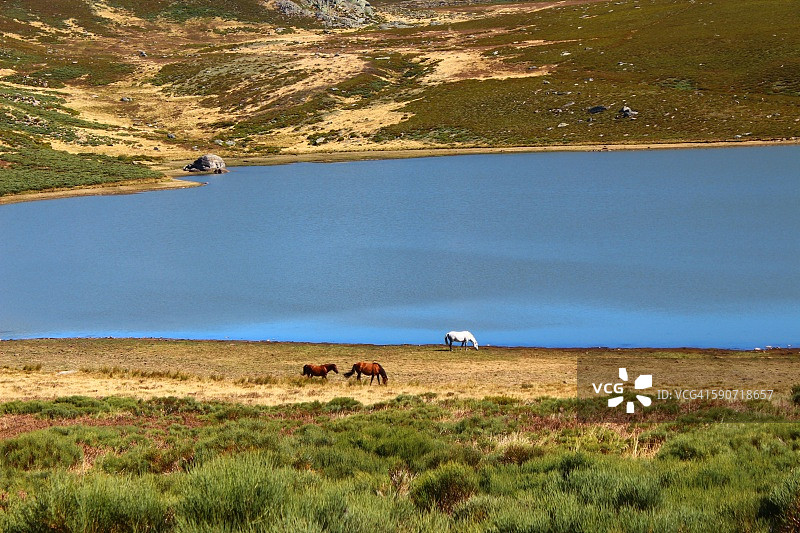 萨纳夫里亚自然公园的佩塞斯湖图片素材